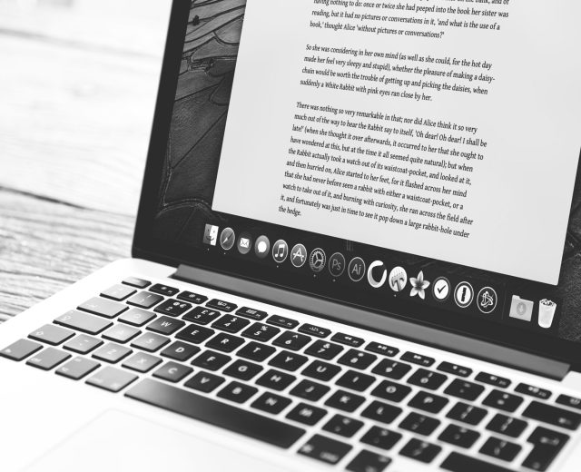 super-snapper-zIwAchjDirM-unsplash